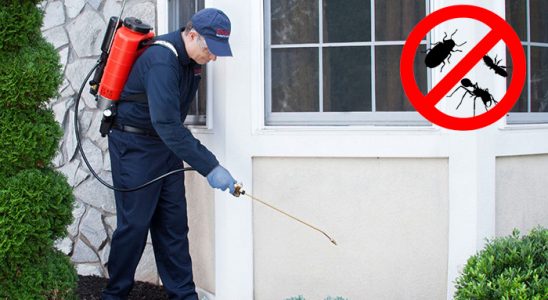 Reşadiye Dezenfeksiyon böcek ilaçlama ve haşere kontrolü — ilaclama-tr.com